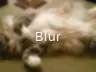 Blur
