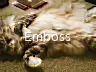 Emboss
