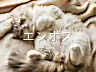 エンボス