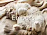 Emboss