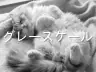 グレースケール