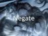 Negate
