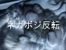 ネガポジ反転