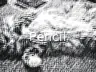 Pencil