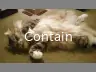 Contain