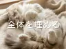 全体を埋める