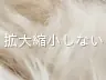 拡大縮小しない
