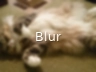 bg_filter_blur.webp