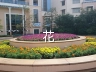 bg_type_flower.webp