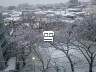 bg_type_snow.webp